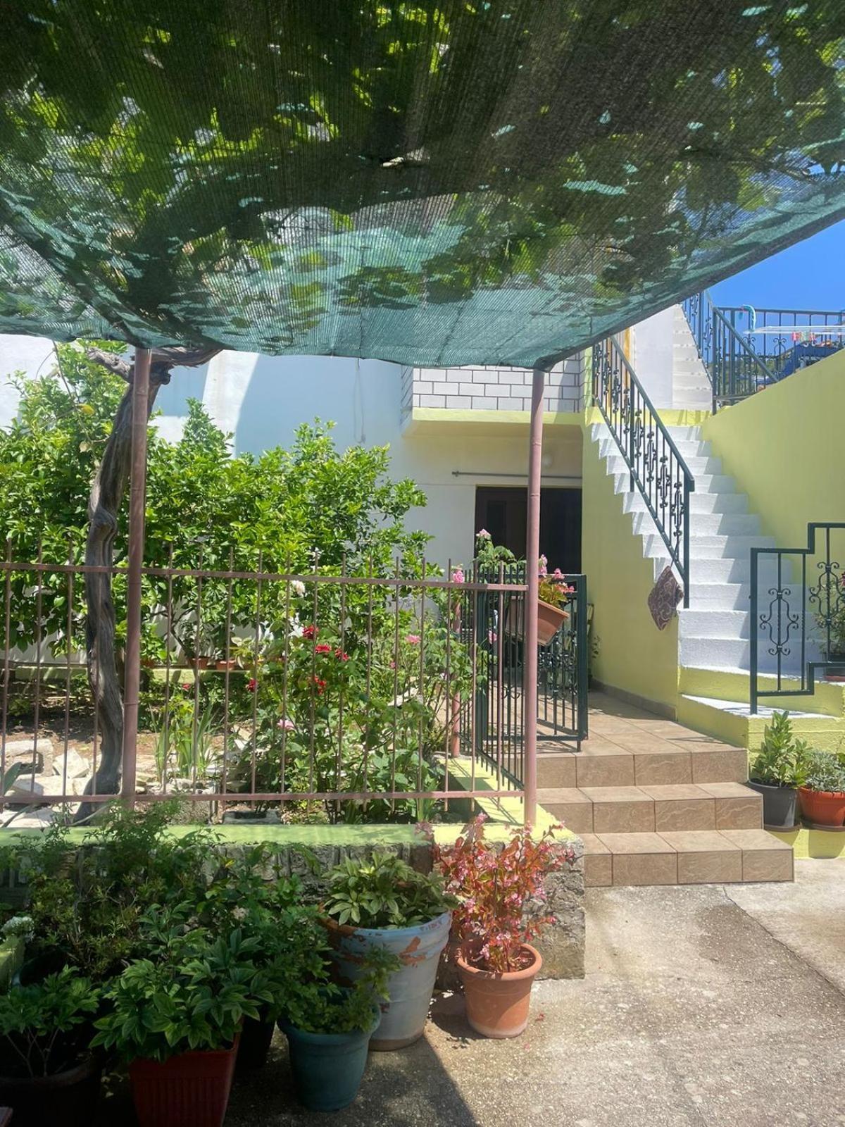וויס Apartments Bilic מראה חיצוני תמונה