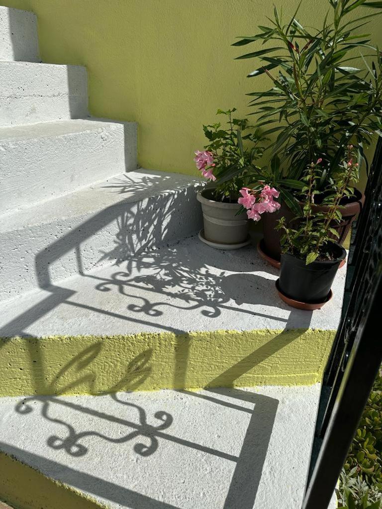 וויס Apartments Bilic מראה חיצוני תמונה