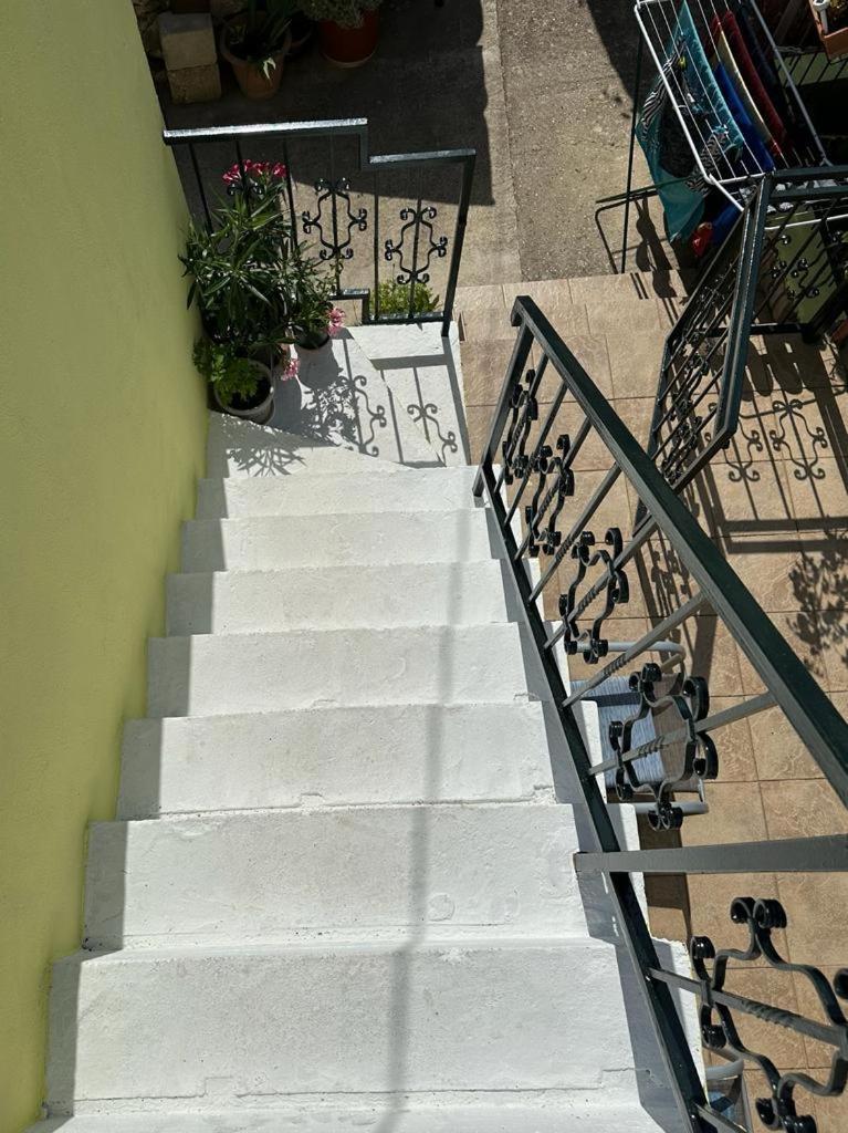 וויס Apartments Bilic מראה חיצוני תמונה