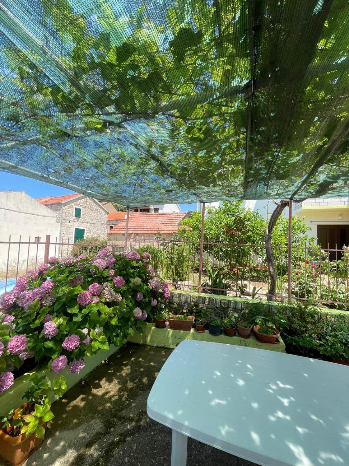 וויס Apartments Bilic מראה חיצוני תמונה