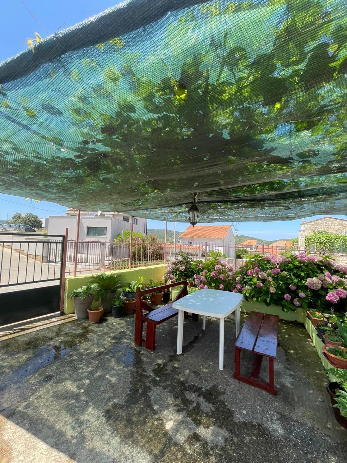 וויס Apartments Bilic מראה חיצוני תמונה